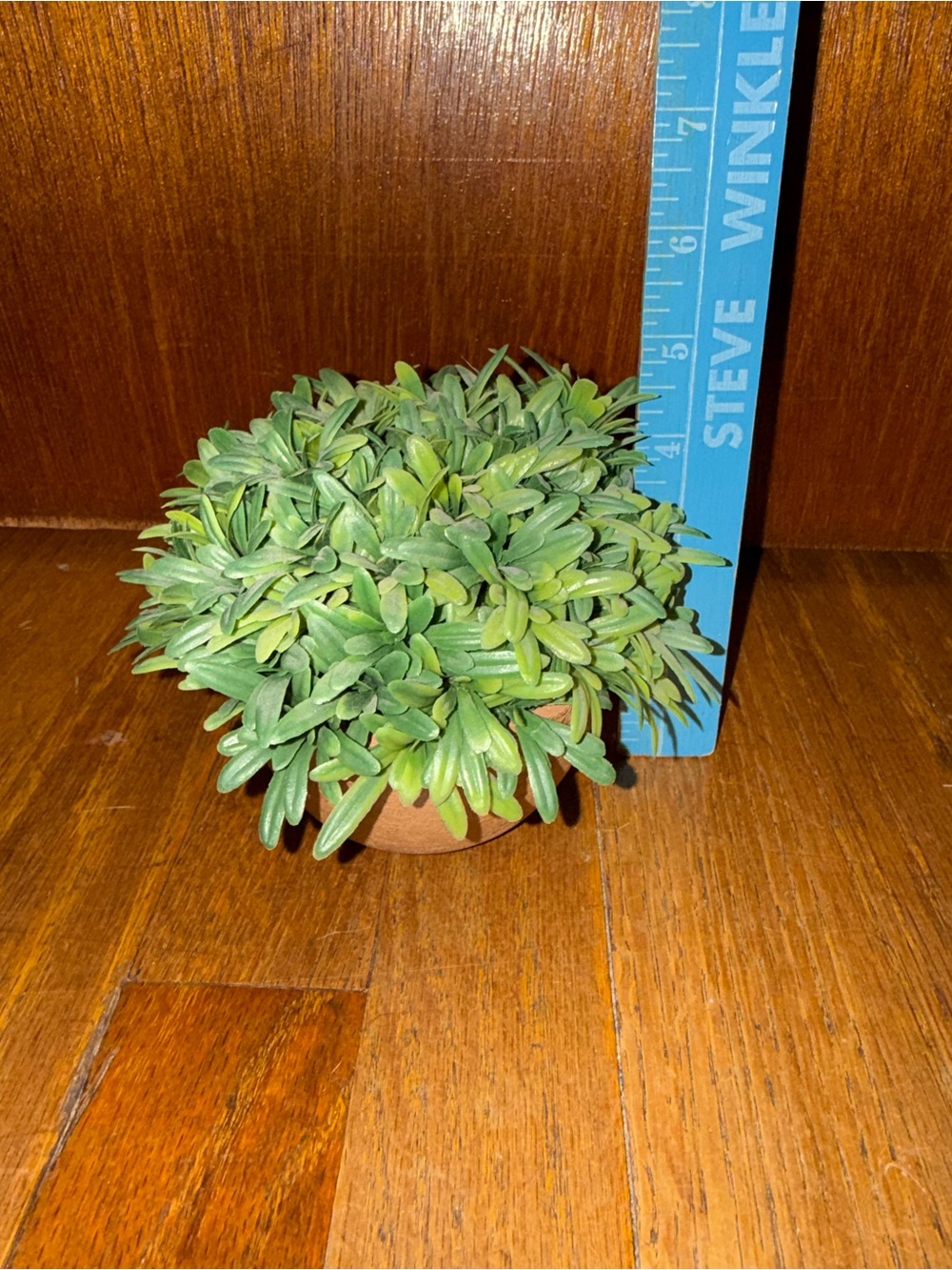 Artificial Green Succulent Plant in Terracotta Pot - Home Accents